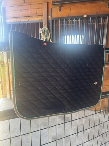 Ogilvy pony black baby pad